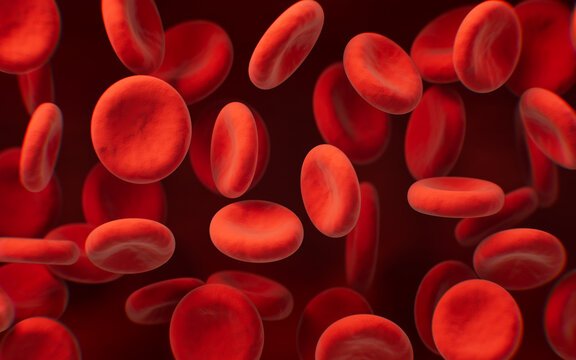Platelet Count