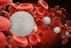Red Blood Cell Indices