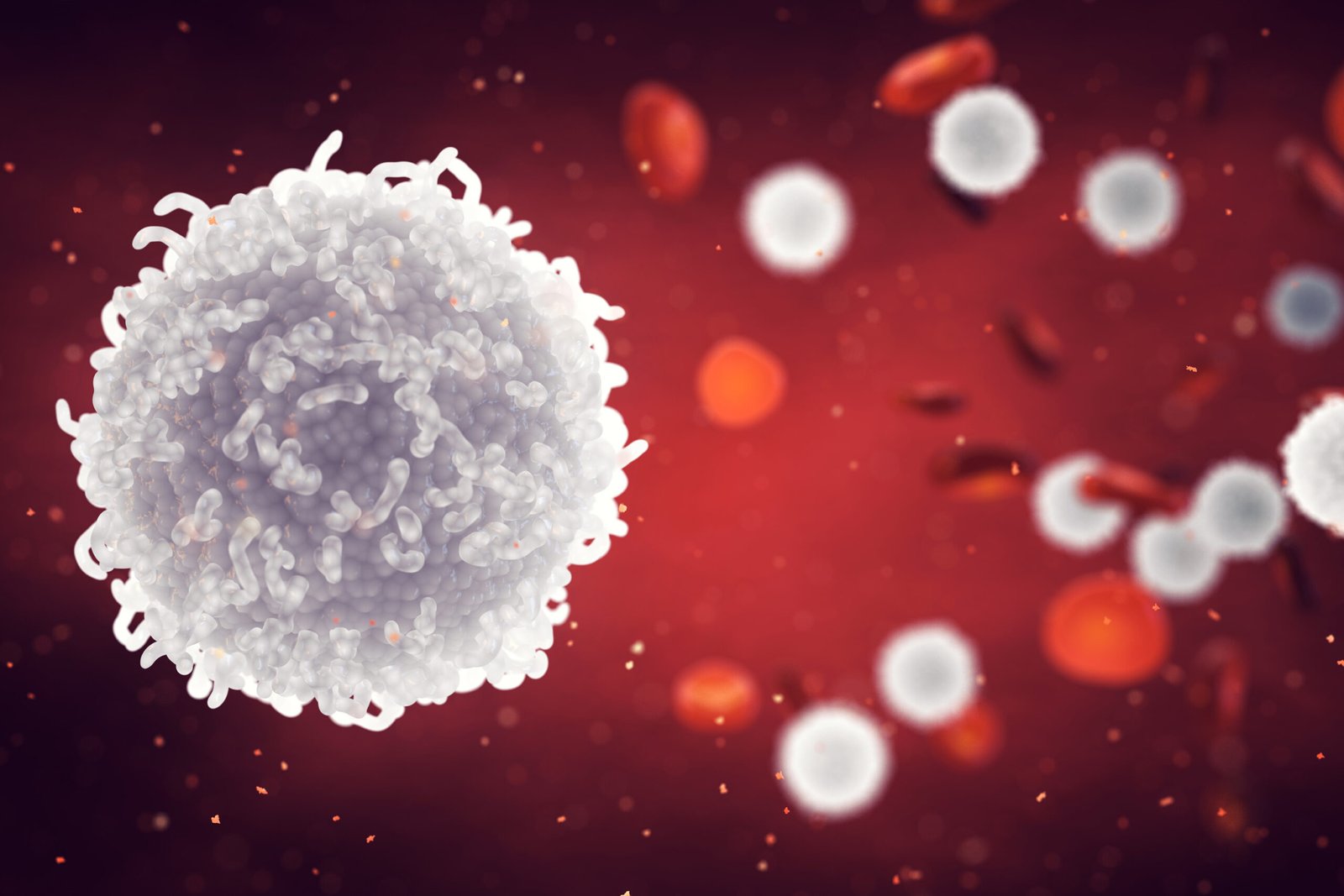 White Blood Cell Differential